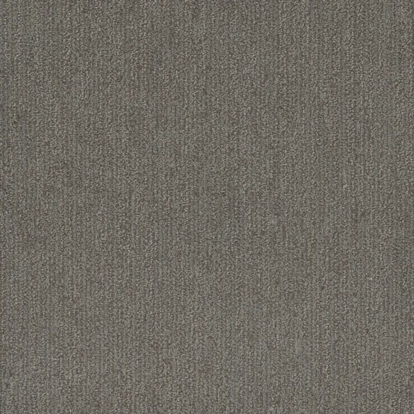 Dreamweaver Carpet Smooth Sailing Deep Secret Carpet 2875_2857