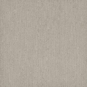 Dreamweaver Carpet Smooth Sailing Heirloom Carpet 2875_2861