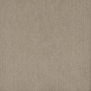 Dreamweaver Carpet Smooth Sailing Dulce Carpet 2875_2937