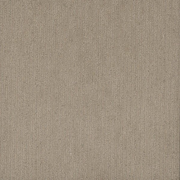 Dreamweaver Carpet Smooth Sailing Dulce Carpet 2875_2937