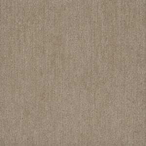 Dreamweaver Carpet Smooth Sailing Shortbread Carpet 2875_2946