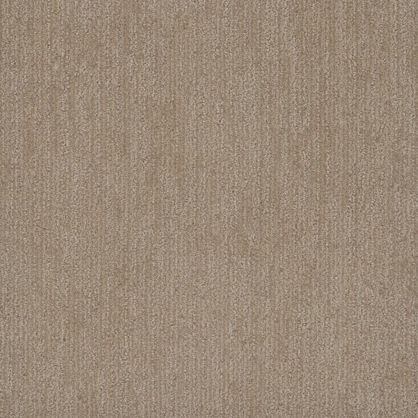 Dreamweaver Carpet Smooth Sailing Shortbread Carpet 2875_2946