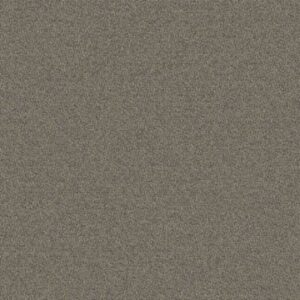 Mohawk Aladdin Commercial Scholarship II Birch Gray Carpet Tile