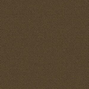 Mohawk Aladdin Commercial Color Pop 12X36 Tree Bark Carpet Tile