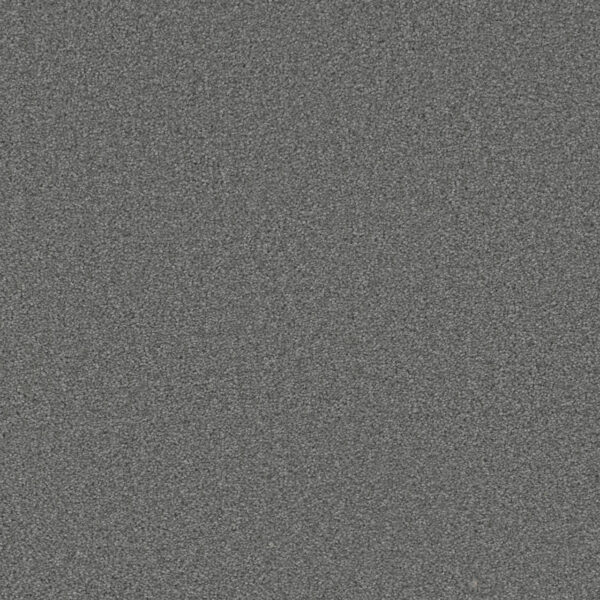 Dreamweaver Carpet Broadcast Plus Granite Peaks Carpet 3125_190