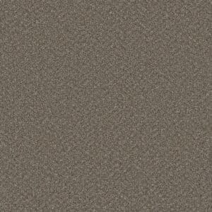 Dreamweaver Carpet Broadcast Plus Field Slate Carpet 3125_477