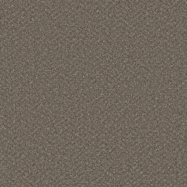 Dreamweaver Carpet Broadcast Plus Field Slate Carpet 3125_477