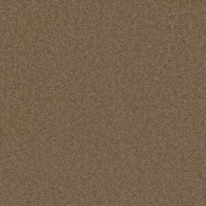 Dreamweaver Carpet Broadcast Honey Beige Carpet 3025_510