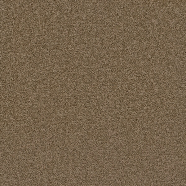 Dreamweaver Carpet Broadcast Honey Beige Carpet 3025_510