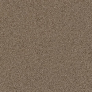 Dreamweaver Carpet Broadcast Doeskin Carpet 3025_530