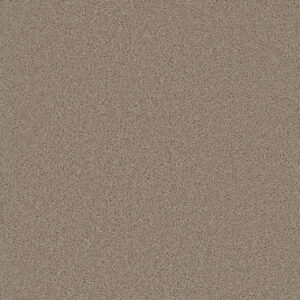 Dreamweaver Carpet Broadcast Flax Beige Carpet 3025_535