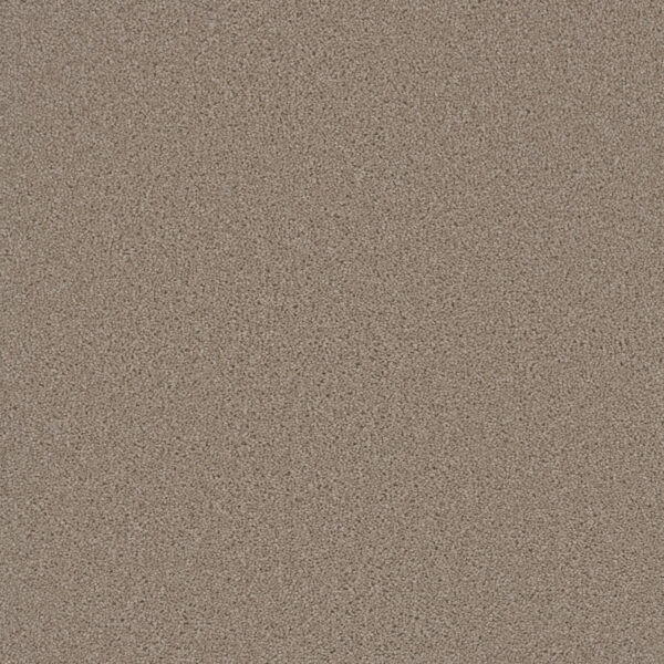 Dreamweaver Carpet Broadcast Flax Beige Carpet 3025_535