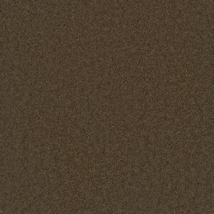 Dreamweaver Carpet Broadcast Latte Carpet 3025_550