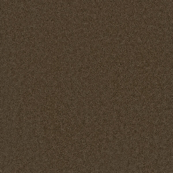 Dreamweaver Carpet Broadcast Plus Latte Carpet 3125_550