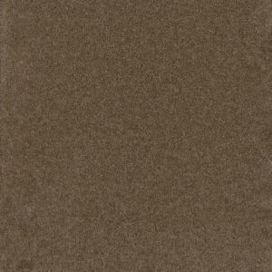 Dreamweaver Carpet Broadcast Balsam Carpet 3025_565