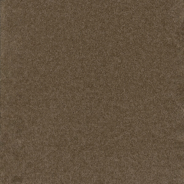 Dreamweaver Carpet Broadcast Balsam Carpet 3025_565