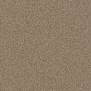 Dreamweaver Carpet Broadcast Plus Sawgrass Carpet 3125_701