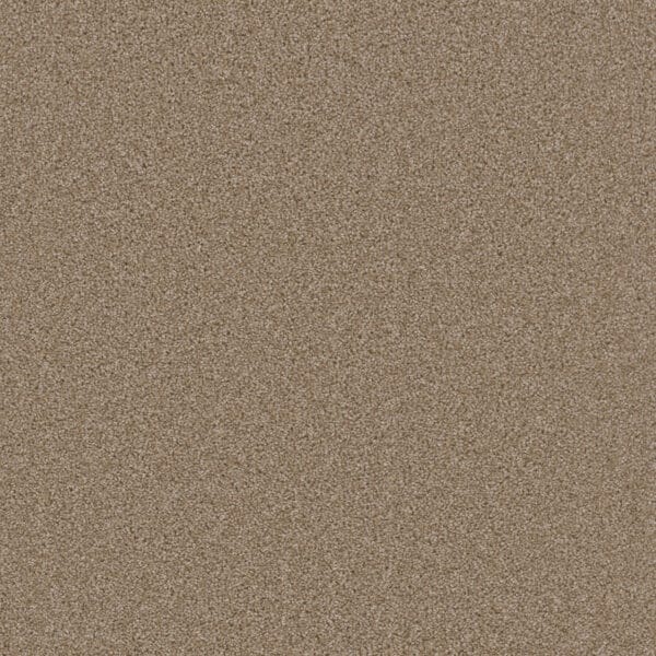 Dreamweaver Carpet Broadcast Plus Sawgrass Carpet 3125_701