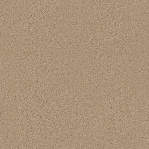 Dreamweaver Carpet Broadcast Cookie Dough Carpet 3025_705