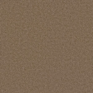 Dreamweaver Carpet Broadcast Plus Sandstone Carpet 3125_715