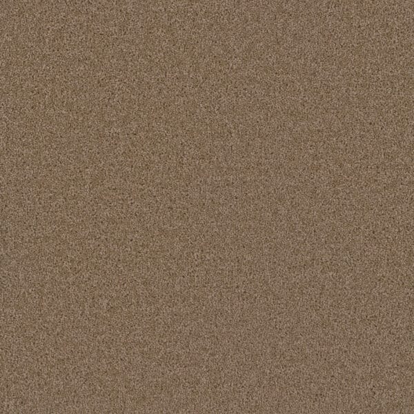 Dreamweaver Carpet Broadcast Plus Sandstone Carpet 3125_715