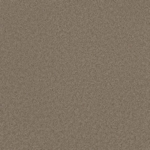 Dreamweaver Carpet Broadcast Ash Carpet 3025_775