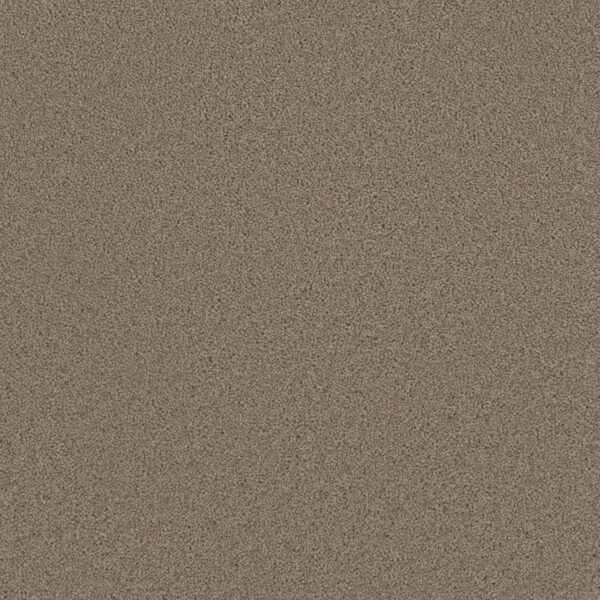 Dreamweaver Carpet Broadcast Ash Carpet 3025_775