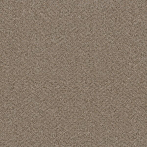 Dreamweaver Carpet Broadcast Almond Carpet 3025_782