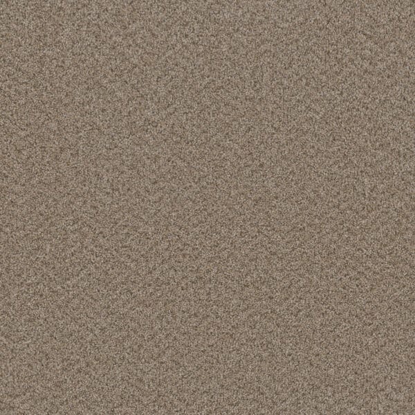 Dreamweaver Carpet Broadcast Almond Carpet 3025_782
