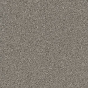 Dreamweaver Carpet Broadcast Plus Silver Birch Carpet 3125_800
