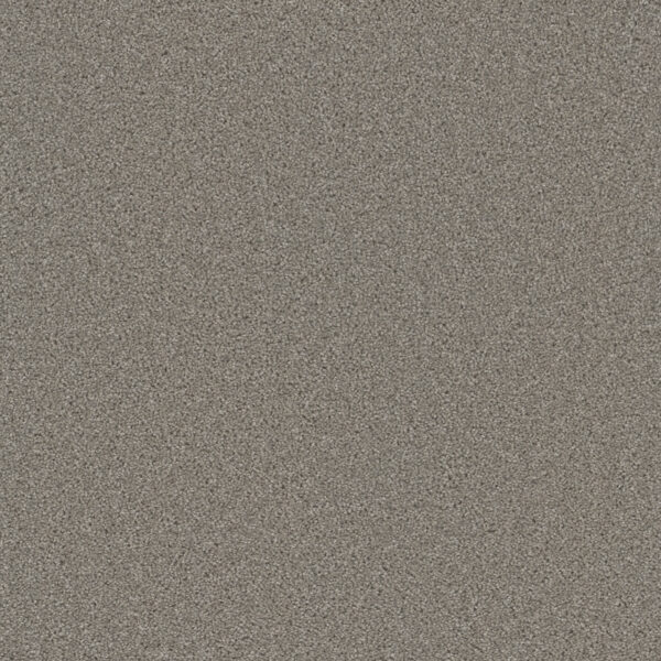 Dreamweaver Carpet Broadcast Plus Silver Birch Carpet 3125_800