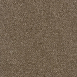 Dreamweaver Carpet Broadcast Chestnut Carpet 3025_806