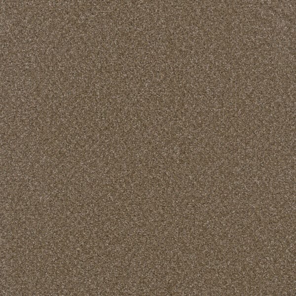Dreamweaver Carpet Broadcast Plus Chestnut Carpet 3125_806