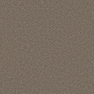 Dreamweaver Carpet Broadcast Cinder Carpet 3025_835