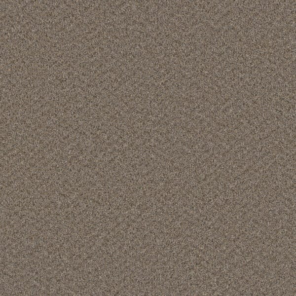 Dreamweaver Carpet Broadcast Plus Cinder Carpet 3125_835