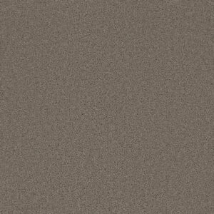 Dreamweaver Carpet Broadcast Castle Carpet 3025_945