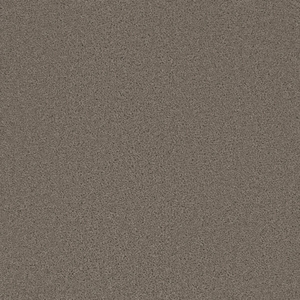 Dreamweaver Carpet Broadcast Castle Carpet 3025_945