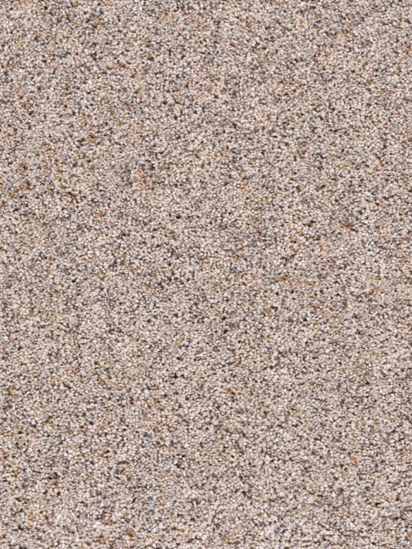 Dreamweaver Carpet Confetti I Ivory Tower Carpet 3138_406