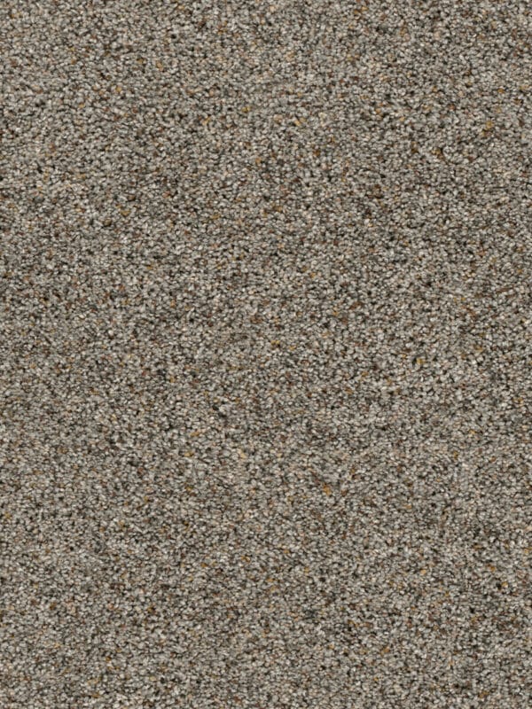 Dreamweaver Carpet Confetti I Mountain View Carpet 3138_627