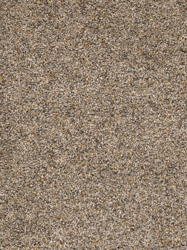Dreamweaver Carpet Confetti II Bisque Carpet 3148_768