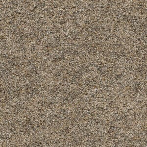Dreamweaver Carpet Confetti I Harmonic Tan Carpet 3138_795