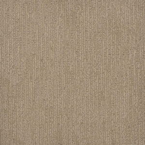Dreamweaver Carpet Surfside Almond Bark Carpet 3228_2025