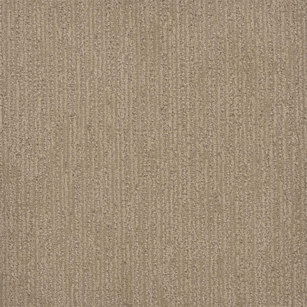 Dreamweaver Carpet Surfside Almond Bark Carpet 3228_2025