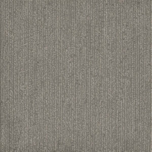 Dreamweaver Carpet Surfside Morning Star Carpet 3228_2054
