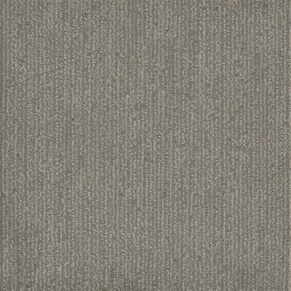 Dreamweaver Carpet Surfside Morning Star Carpet 3228_2054