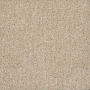 Dreamweaver Carpet Surfside Vanilla Sky Carpet 3228_2084