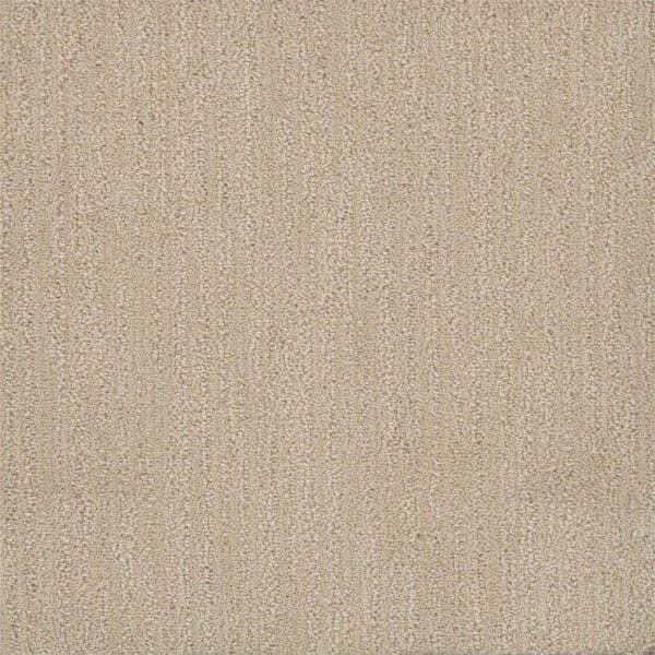 Dreamweaver Carpet Surfside Vanilla Sky Carpet 3228_2084