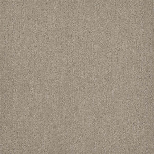 Dreamweaver Carpet Surfside Cool Summer Carpet 3228_2096