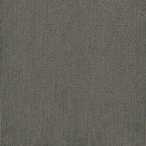 Dreamweaver Carpet Surfside Stonehaven Carpet 3228_2142