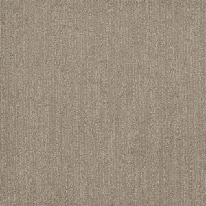 Dreamweaver Carpet Surfside Desert Flower Carpet 3228_2228